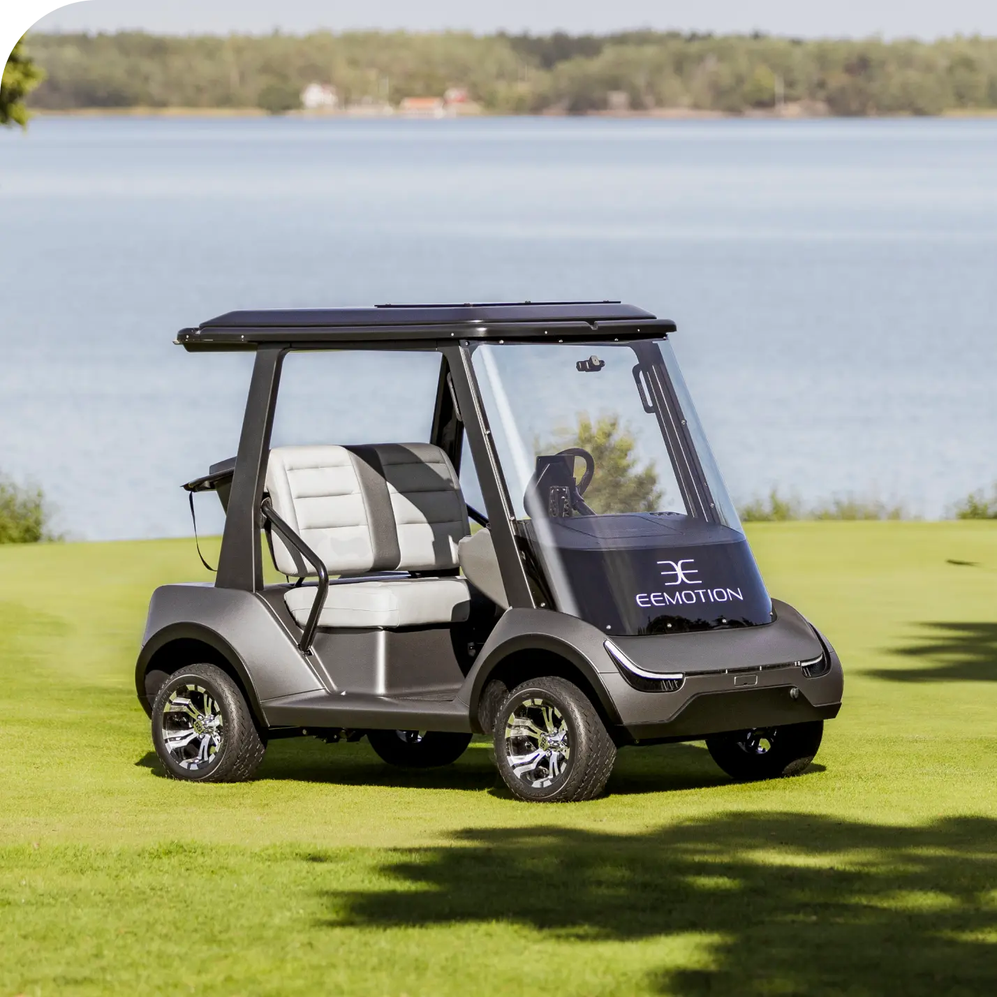 Eemotion Golf Cart Web Gallery Exterior